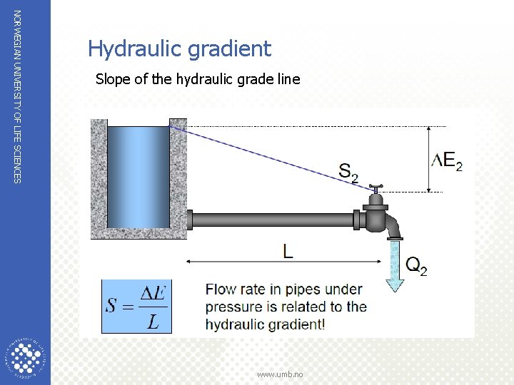 NORWEGIAN UNIVERSITY OF LIFE SCIENCES Hydraulic gradient Slope of the hydraulic grade line www.