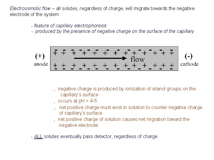 Electroosmotic flow – all solutes, regardless of charge, will migrate towards the negative electrode