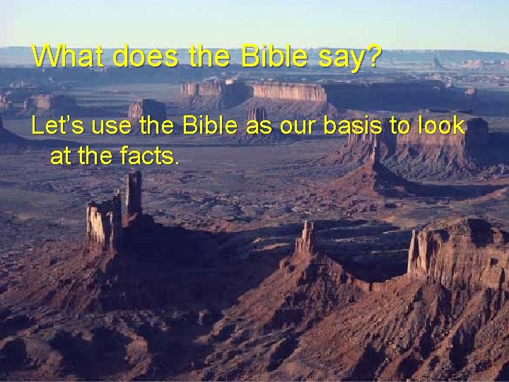 What does the Bible say? Let’s use the Bible as our basis to look What does the Bible say? Let’s use the Bible as our basis to look