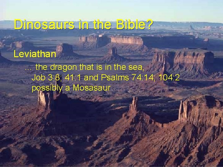 Dinosaurs in the Bible? Leviathan … the dragon that is in the sea, Job Dinosaurs in the Bible? Leviathan … the dragon that is in the sea, Job
