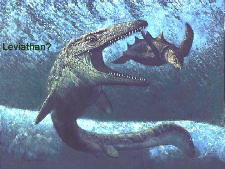 Dinosaurs in the Bible? Leviathan? Dinosaurs in the Bible? Leviathan?