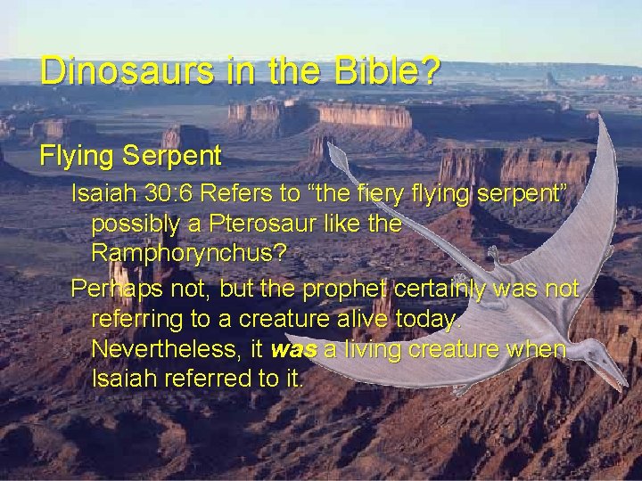 Dinosaurs in the Bible? Flying Serpent Isaiah 30: 6 Refers to “the fiery flying Dinosaurs in the Bible? Flying Serpent Isaiah 30: 6 Refers to “the fiery flying