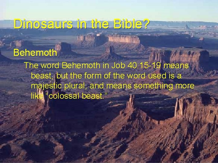 Dinosaurs in the Bible? Behemoth The word Behemoth in Job 40: 15 -19 means Dinosaurs in the Bible? Behemoth The word Behemoth in Job 40: 15 -19 means