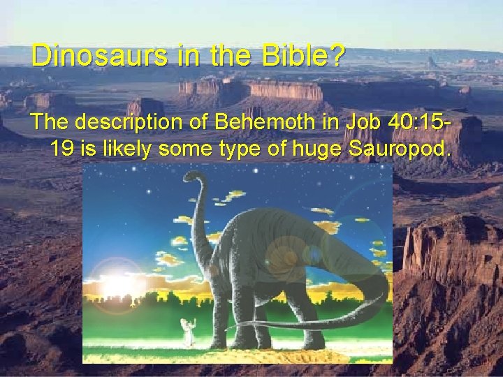 Dinosaurs in the Bible? The description of Behemoth in Job 40: 1519 is likely Dinosaurs in the Bible? The description of Behemoth in Job 40: 1519 is likely