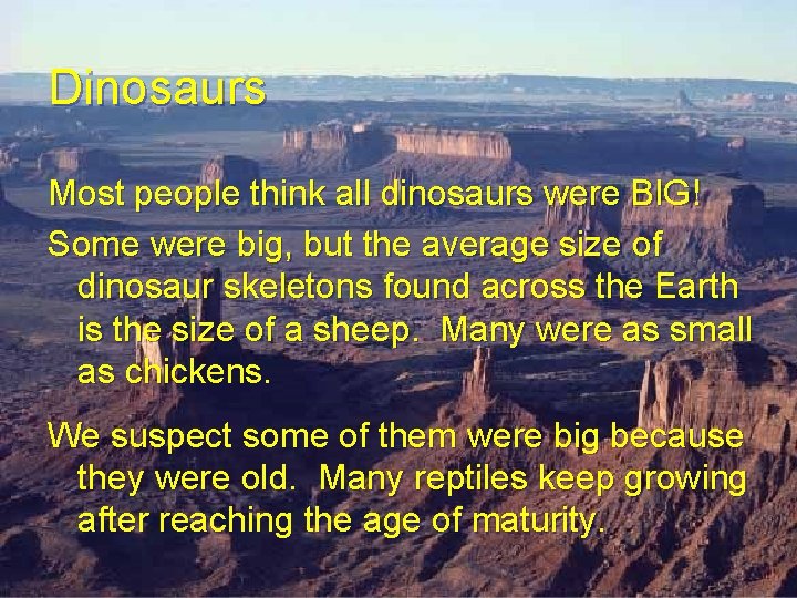 Dinosaurs Most people think all dinosaurs were BIG! Some were big, but the average Dinosaurs Most people think all dinosaurs were BIG! Some were big, but the average