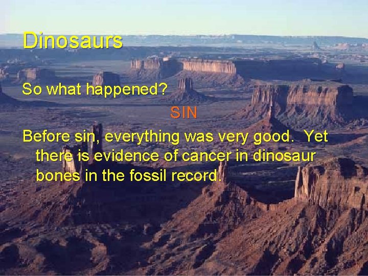 Dinosaurs So what happened? SIN Before sin, everything was very good. Yet there is Dinosaurs So what happened? SIN Before sin, everything was very good. Yet there is