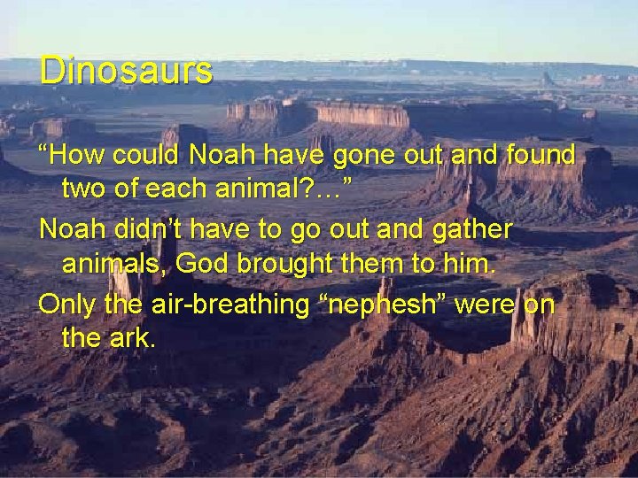 Dinosaurs “How could Noah have gone out and found two of each animal? …” Dinosaurs “How could Noah have gone out and found two of each animal? …”