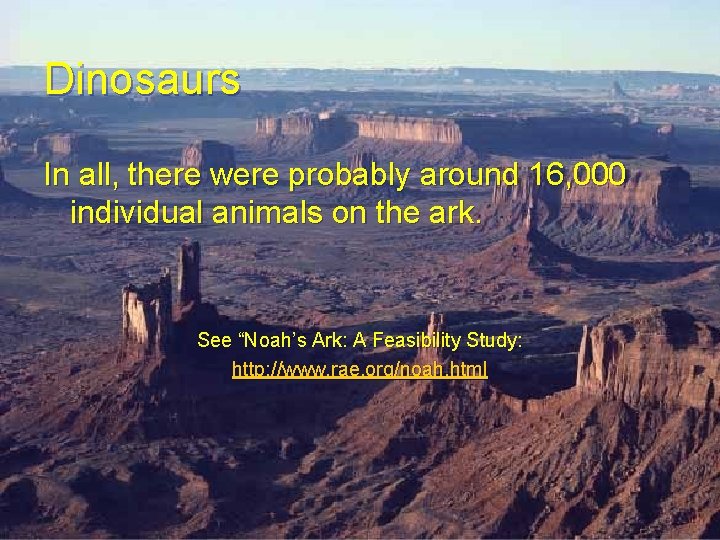 Dinosaurs In all, there were probably around 16, 000 individual animals on the ark. Dinosaurs In all, there were probably around 16, 000 individual animals on the ark.