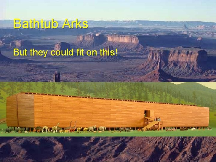 Bathtub Arks But they could fit on this! Bathtub Arks But they could fit on this!
