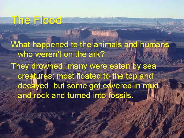 The Flood What happened to the animals and humans who weren’t on the ark? The Flood What happened to the animals and humans who weren’t on the ark?