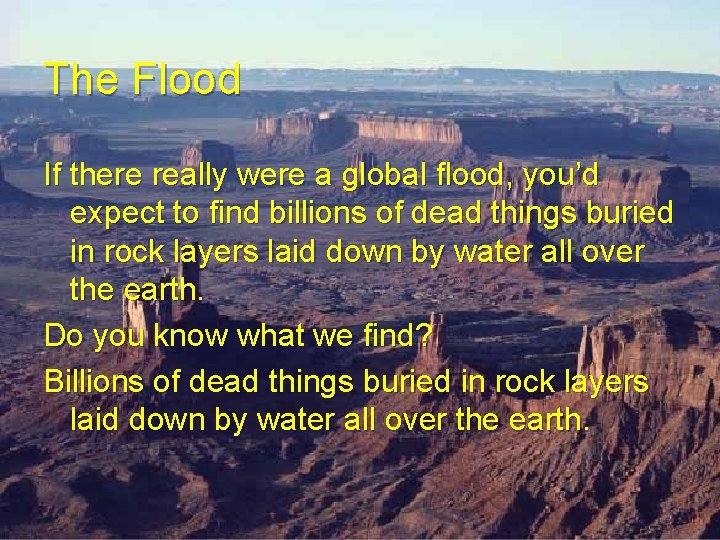 The Flood If there really were a global flood, you’d expect to find billions The Flood If there really were a global flood, you’d expect to find billions