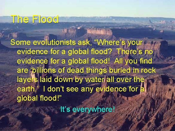 The Flood Some evolutionists ask, “Where’s your evidence for a global flood? There’s no The Flood Some evolutionists ask, “Where’s your evidence for a global flood? There’s no