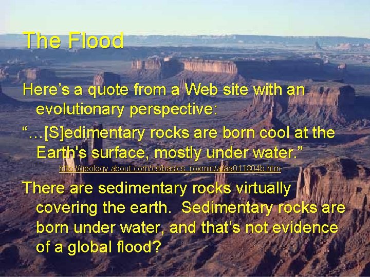 The Flood Here’s a quote from a Web site with an evolutionary perspective: “…[S]edimentary