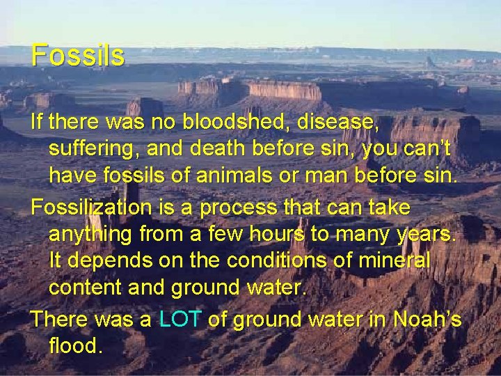 Fossils If there was no bloodshed, disease, suffering, and death before sin, you can’t Fossils If there was no bloodshed, disease, suffering, and death before sin, you can’t
