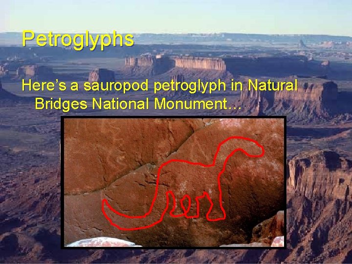 Petroglyphs Here’s a sauropod petroglyph in Natural Bridges National Monument… Petroglyphs Here’s a sauropod petroglyph in Natural Bridges National Monument…
