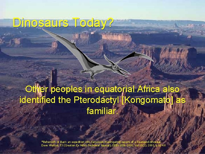 Dinosaurs Today? Other peoples in equatorial Africa also identified the Pterodactyl [Kongomato] as familiar.