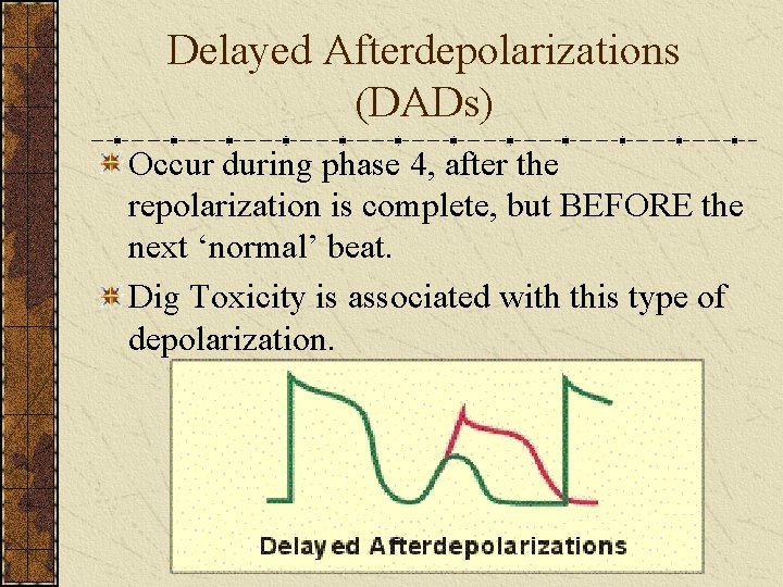 Delayed Afterdepolarizations (DADs) Occur during phase 4, after the repolarization is complete, but BEFORE