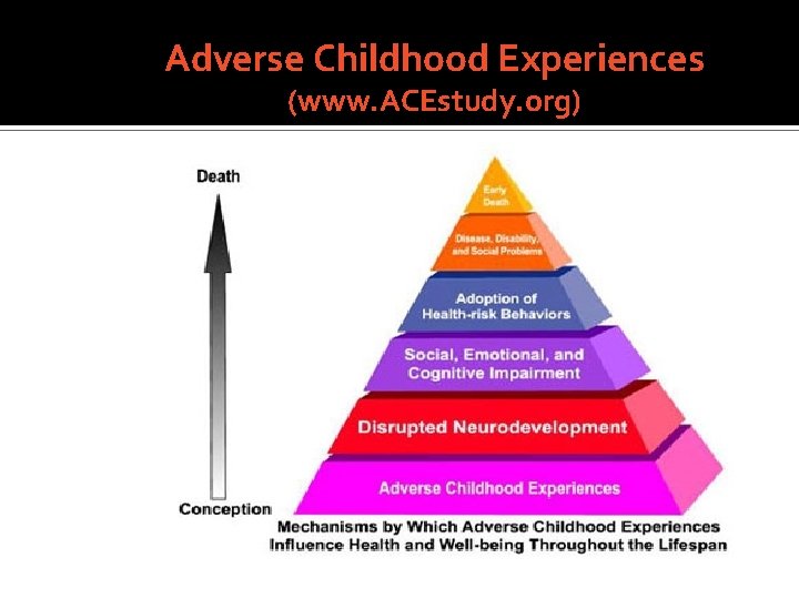 Adverse Childhood Experiences (www. ACEstudy. org) 