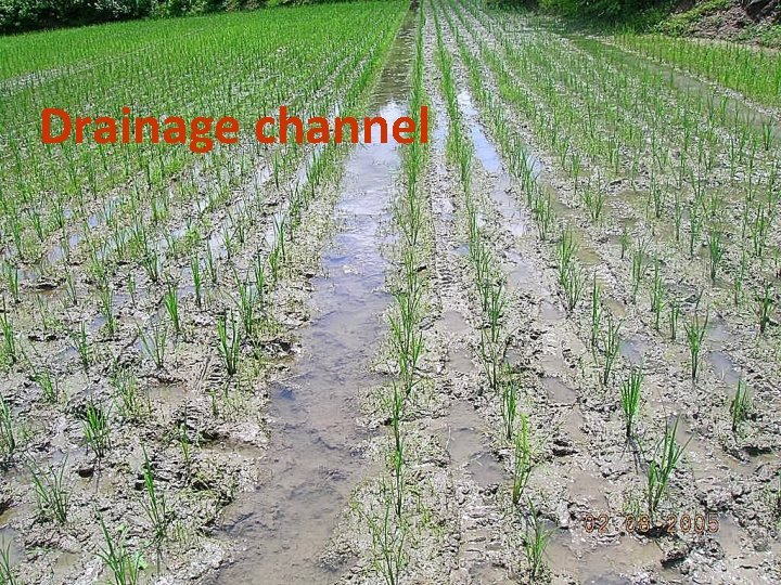 Drainage channel 