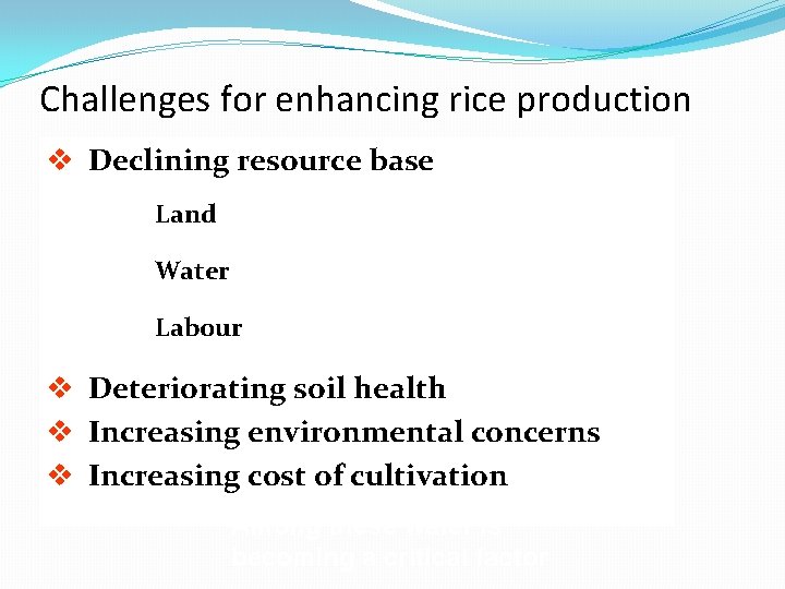 Challenges for enhancing rice production v Declining resource base Land Water Labour v Deteriorating