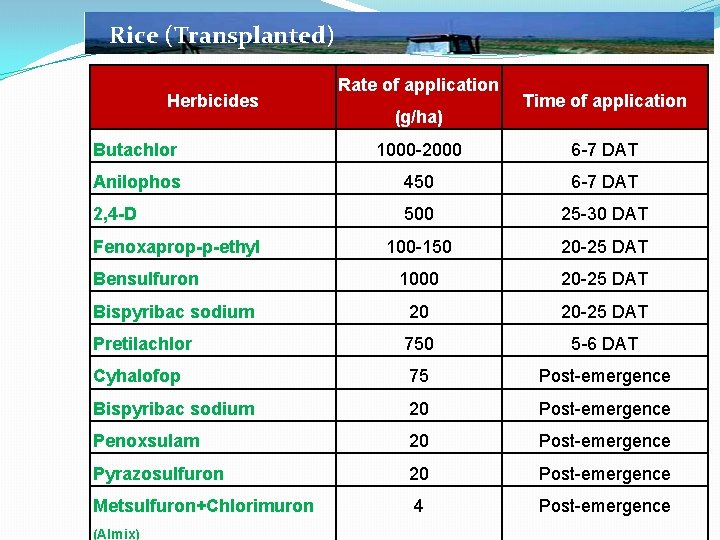 Rice (Transplanted) Herbicides Rate of application (g/ha) Time of application Butachlor 1000 -2000 6