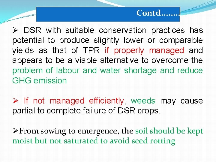 Contd. . . . Ø DSR with suitable conservation practices has potential to produce