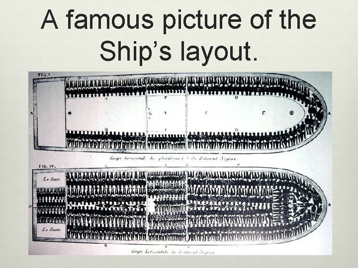 A famous picture of the Ship’s layout. 