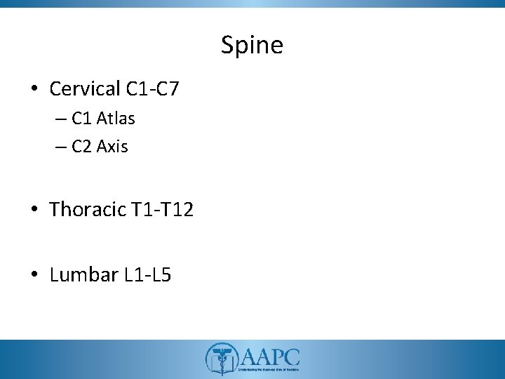 Spine • Cervical C 1 -C 7 – C 1 Atlas – C 2