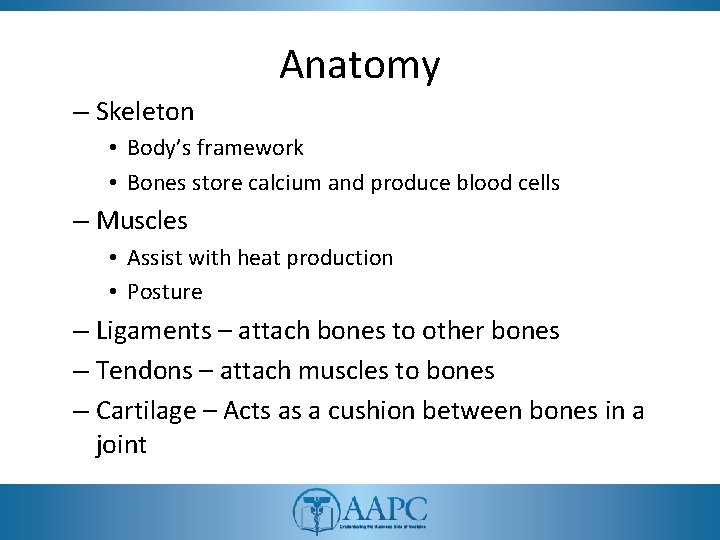 Anatomy – Skeleton • Body’s framework • Bones store calcium and produce blood cells