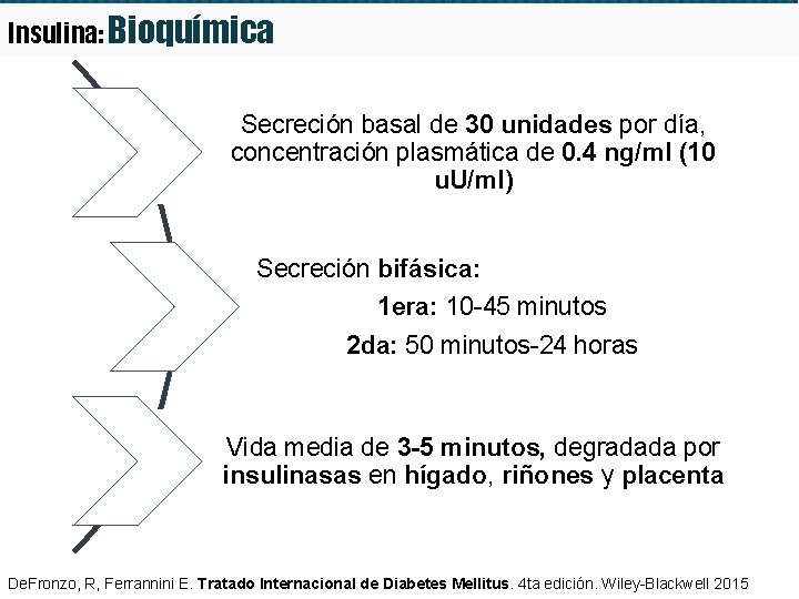 Insulina: Bioquímica Secreción basal de 30 unidades por día, concentración plasmática de 0. 4