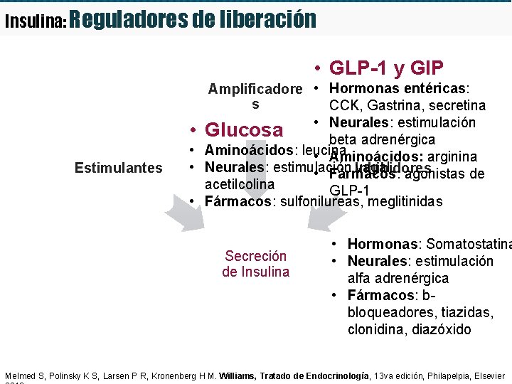 Insulina: Reguladores de liberación • GLP-1 y GIP Estimulantes Amplificadore • Hormonas entéricas: s