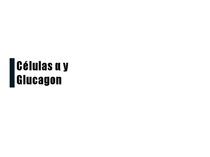 Células α y Glucagon 