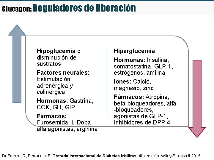 Glucagon: Reguladores de liberación Hipoglucemia o disminución de sustratos Factores neurales: Estimulación adrenérgica y Glucagon: Reguladores de liberación Hipoglucemia o disminución de sustratos Factores neurales: Estimulación adrenérgica y