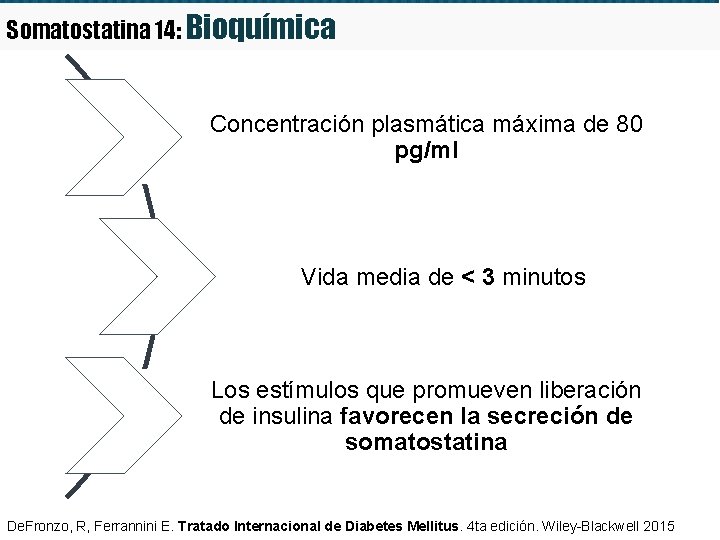 Somatostatina 14: Bioquímica Concentración plasmática máxima de 80 pg/ml Vida media de < 3
