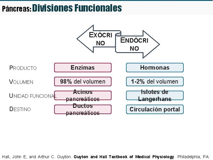 Páncreas: Divisiones Funcionales EXÓCRI NO PRODUCTO VOLUMEN UNIDAD FUNCIONAL DESTINO ENDÓCRI NO Enzimas Hormonas Páncreas: Divisiones Funcionales EXÓCRI NO PRODUCTO VOLUMEN UNIDAD FUNCIONAL DESTINO ENDÓCRI NO Enzimas Hormonas