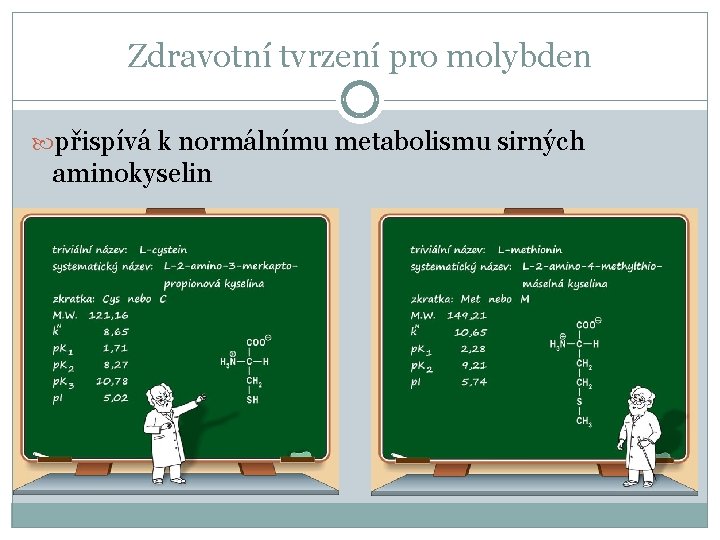 Zdravotní tvrzení pro molybden přispívá k normálnímu metabolismu sirných aminokyselin 