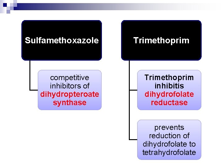 Sulfamethoxazole competitive inhibitors of dihydropteroate synthase Trimethoprim inhibitis dihydrofolate reductase prevents reduction of dihydrofolate