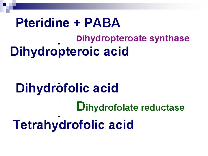 Pteridine + PABA Dihydropteroate synthase Dihydropteroic acid Dihydrofolate reductase Tetrahydrofolic acid 