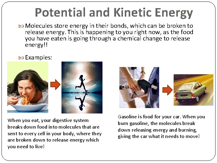 Potential and Kinetic Energy Molecules store energy in their bonds, which can be broken