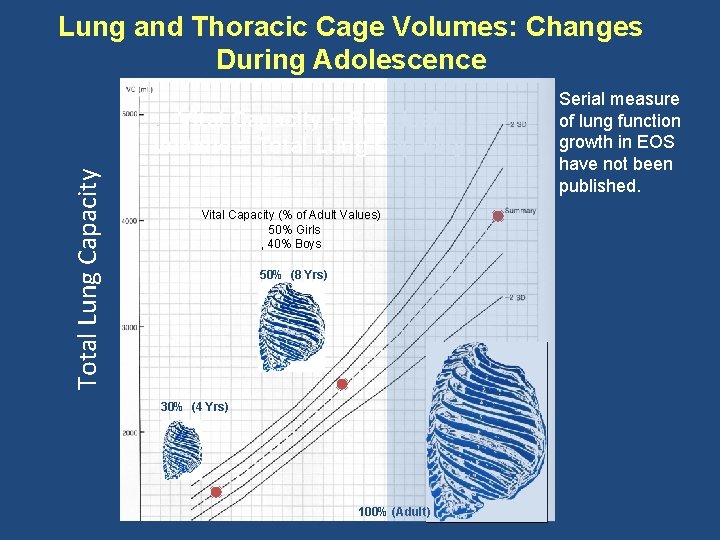 Lung and Thoracic Cage Volumes: Changes During Adolescence Total Lung Capacity Vital Capacity +