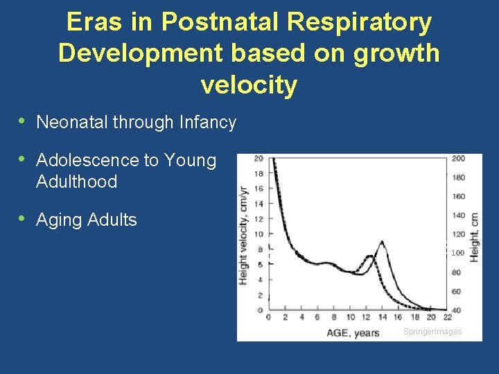 Eras in Postnatal Respiratory Development based on growth velocity • Neonatal through Infancy •