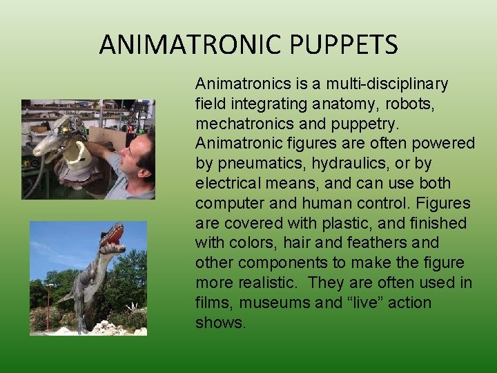 ANIMATRONIC PUPPETS Animatronics is a multi-disciplinary field integrating anatomy, robots, mechatronics and puppetry. Animatronic