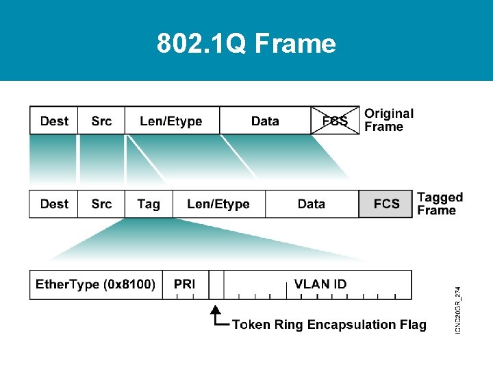 802. 1 Q Frame 