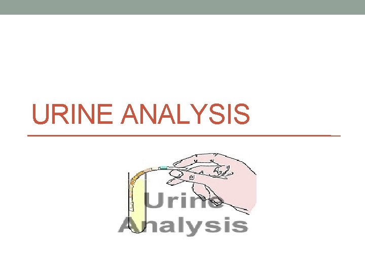 URINE ANALYSIS 