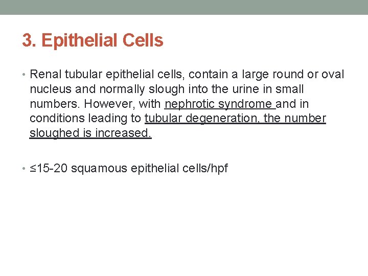 3. Epithelial Cells • Renal tubular epithelial cells, contain a large round or oval