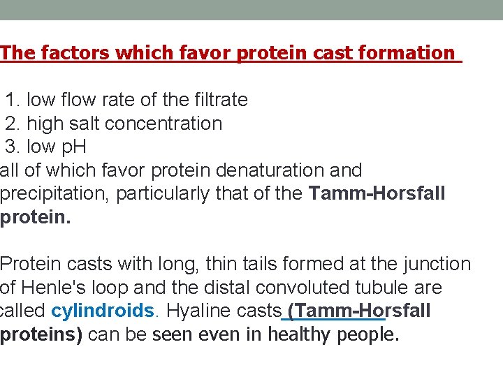 The factors which favor protein cast formation 1. low flow rate of the filtrate