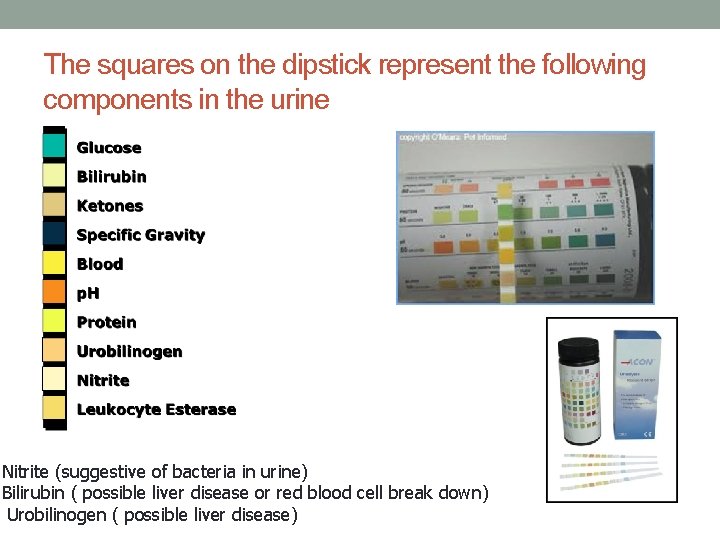 The squares on the dipstick represent the following components in the urine Nitrite (suggestive