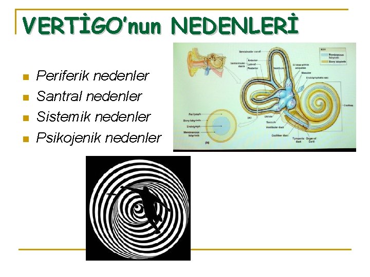 VERTİGO’nun NEDENLERİ n n Periferik nedenler Santral nedenler Sistemik nedenler Psikojenik nedenler 