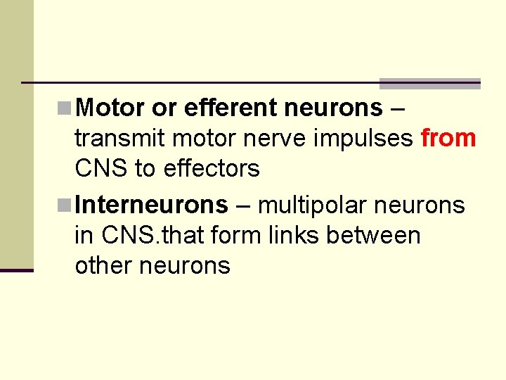 n Motor or efferent neurons – transmit motor nerve impulses from CNS to effectors