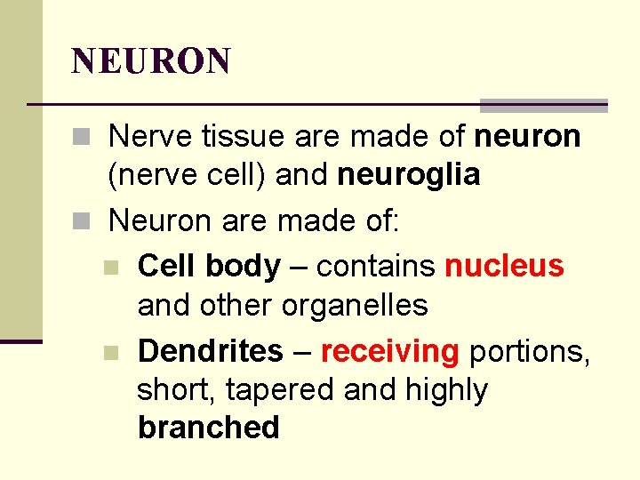 NEURON n Nerve tissue are made of neuron (nerve cell) and neuroglia n Neuron